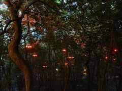-龟山风景区-龟山电视塔