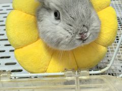 -美迦爱-牙专科·兔科·骨科诊疗中心(北苑店)