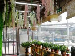 大堂-首钢一九一九大酒楼(石景山店)