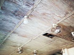 -林氏圆子(胞波路店)