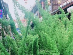 -磁器口古镇