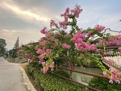 -邱记私房菜·十八年本地菜