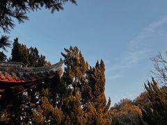 -秋霞圃