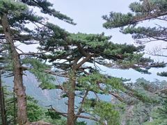 -安徽天堂寨风景区