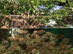 -福州罗源湾海洋世界旅游区