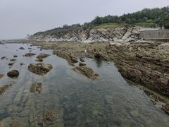 -养马岛旅游度假区
