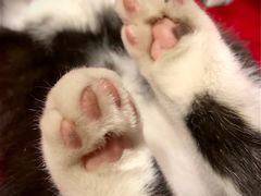 -么么咖啡(燕郊店)