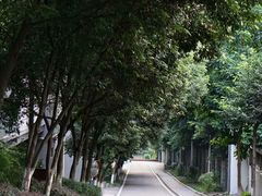 -重庆工商大学(南岸校区)