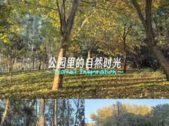 -仁和公园(顺义区)