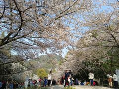 -杭州少年儿童公园