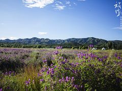 -敕勒川草原文化旅游区