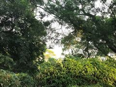 -船政文化景区-罗星塔公园