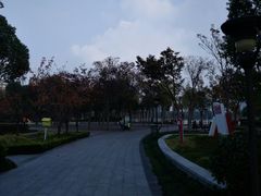 -南翔镇银翔湖公园