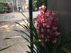 -兵立王鲜果茶·奶茶(文庙店)