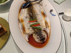 豉油贡椒蒸白鱼-洪湖水·新楚菜(人民大学店)