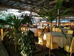 -红栌温泉山庄生态美食餐厅