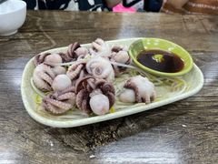 芥末白灼八爪鱼-贞姨美食·老字号海鲜大排档