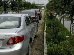 -同銮特种养殖场·龙虾垂钓