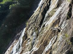 -广州白江湖森林公园