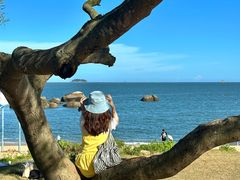 -阿里元平价海鲜•闽菜餐厅(曾厝垵店)
