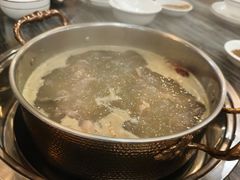 -鸽鸟轩(石岐店)