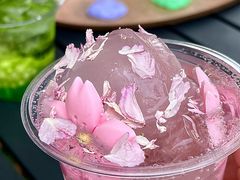 -J Create城市露营咖啡·简餐·宠物(上海动物园店)