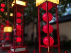-青果巷历史文化街区