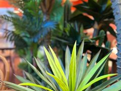 -老字号怡玺·藿香雅鱼(20年雅安店)