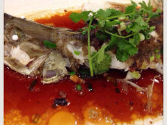 豆豉蒸桂花鱼-渔民新村(番禺总店)
