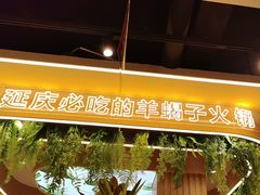 -旧县羊蝎子(旧县店)
