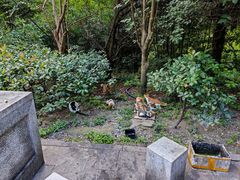 -敬亭山风景名胜区