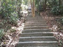 -梧桐山风景名胜区