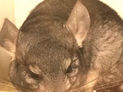 -龙猫仔乐园(惠福东路店)