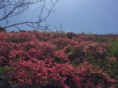 -木兰云雾山