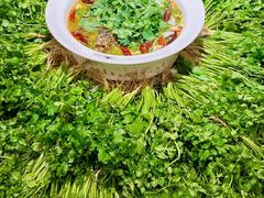 -新太二·鲜料川菜(花都融创茂店)