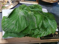 -杨记齐齐哈尔烤肉(五莲路店)
