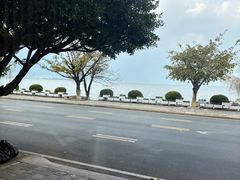 -野菌皇海景野生菌火锅(滨海大道店)