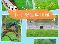 -北京野生动物园