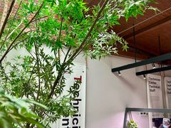 -极简口腔(总院)