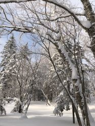 -大秃顶子山