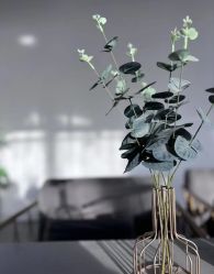 -AM半永久纹眉