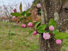 -白鹭湾湿地公园