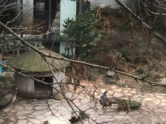 -苏州环秀晓筑养生度假村
