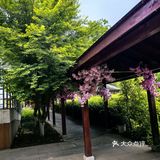 心旷神怡的花园时光