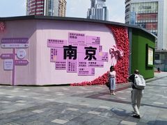 -南京时尚莱迪购物广场(正洪街店)