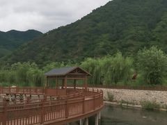 -争鲜回转寿司(通州万达店)
