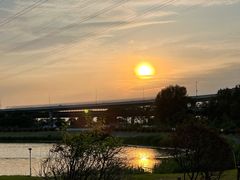 -丁香湖公园