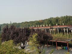 -西安汉城湖景区