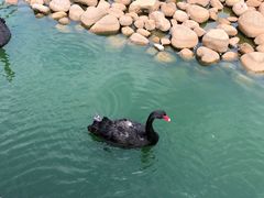 -鄱阳湖国家湿地公园