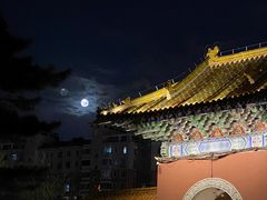 -北陵公园